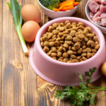 Healthy fresh pet food ingredients on dark background